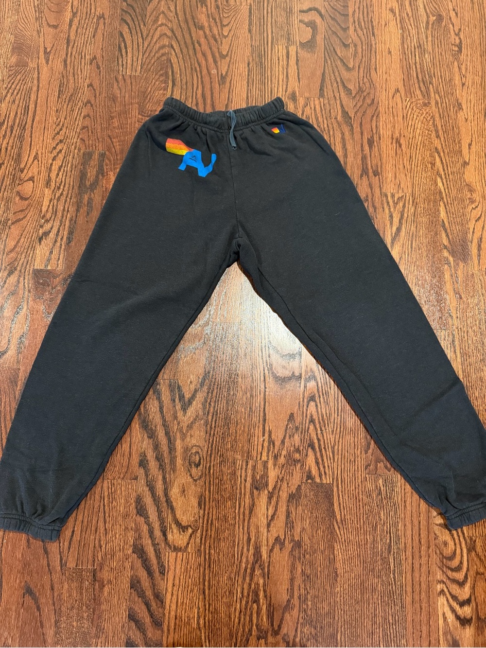 Aviator Nation Sweatpants with Rainbow & Blue Logo